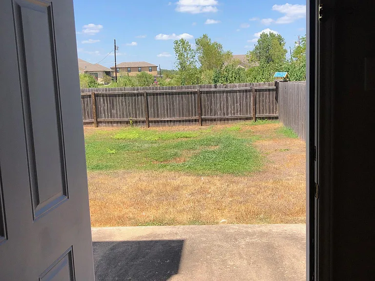 Backyard