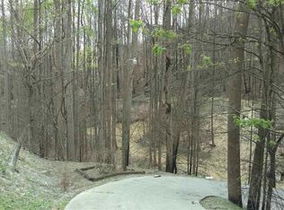 373 Wiley Oakley Dr, Gatlinburg, TN 37738