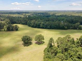 35+ Acres Wells Road, Hinesville, GA 31313