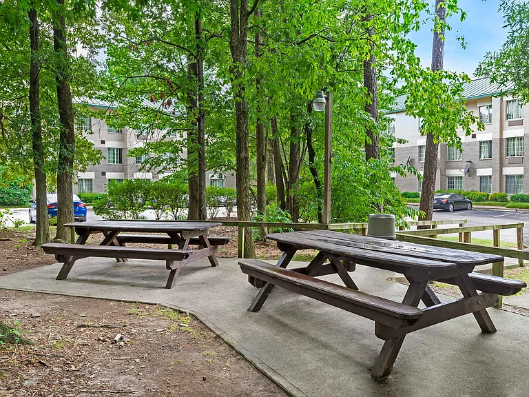 Picnic Area