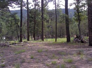 212 S Morris Mdws, Payson, AZ 85541