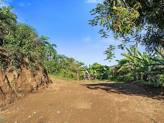 3rd image of 0 Carr #411