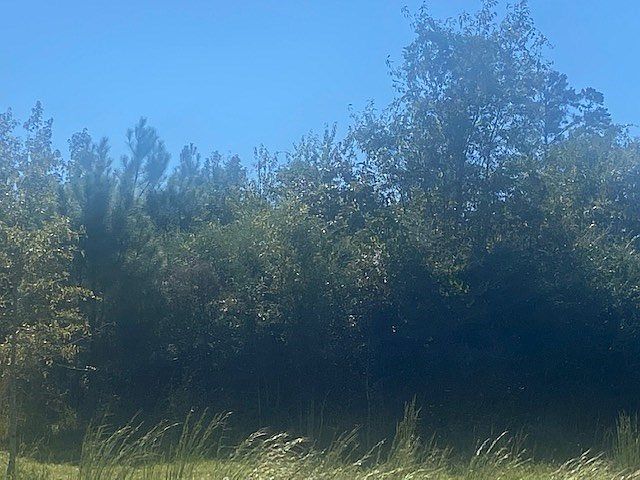 2nd image of Old Highway 84 Rd