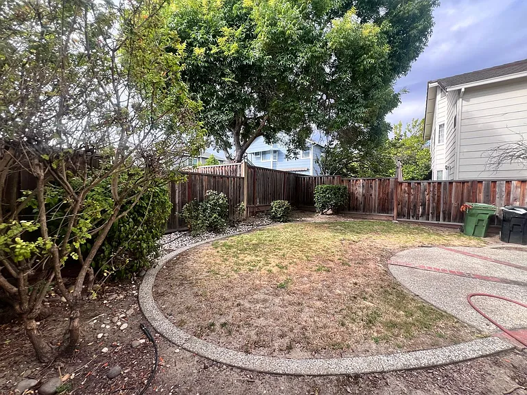 34299 Maybird Cir — Photo 43