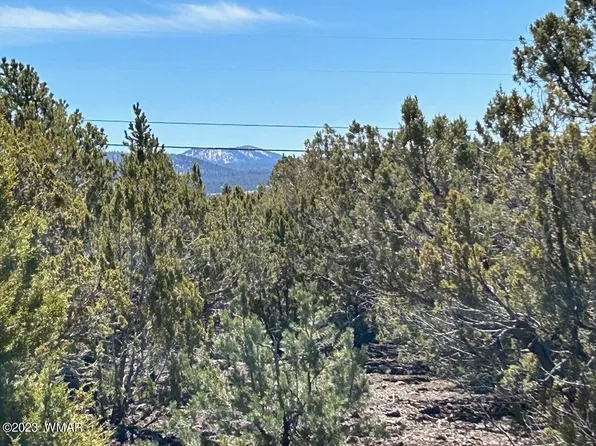 46 Uphill Trl, Vernon, AZ 85940