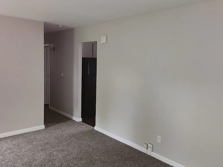 7323 Landi Ct — Photo 4