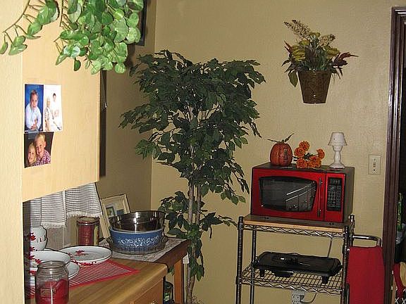 From Kitchen to Dining Room
