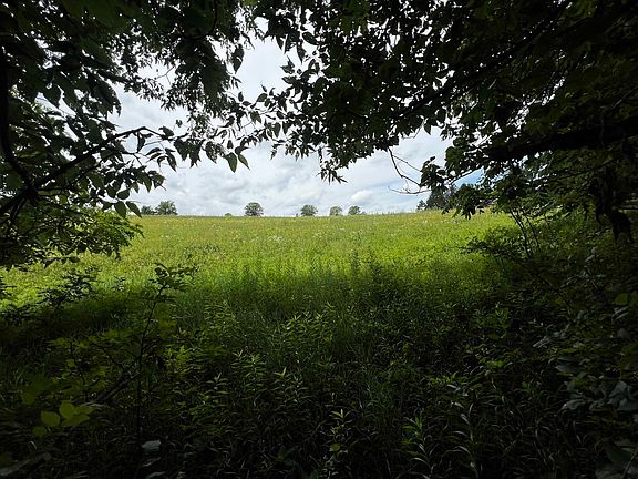 4th image of Cadiz Springs Rd