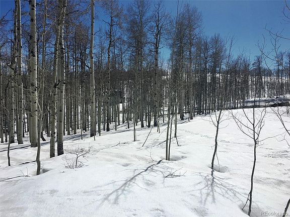 4th image of 26510 Beaver Canyon Dr
