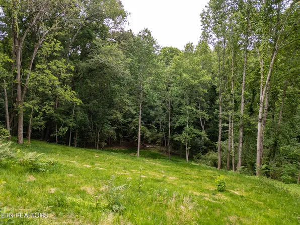 800 Lake Forest Dr, Lenoir City, TN 37772