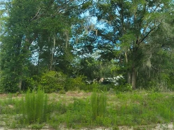 48 N Buchannon Ter, Inverness, FL 34453