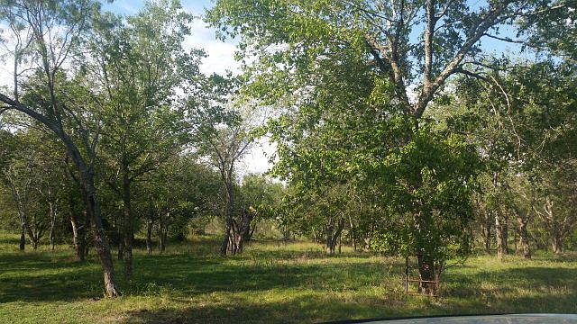 1st image of 444 Texas Heritage Dr
