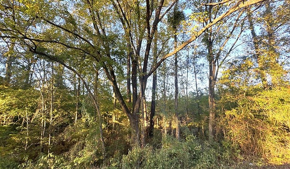 1st image of Township Road 14 Hwy #21E