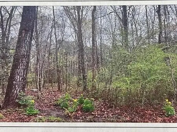 Edgewood Dr, Starkville, MS 39759