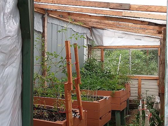 Greenhouse