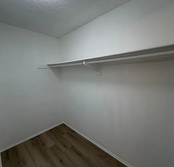 28244 Encanto Dr — Photo 14