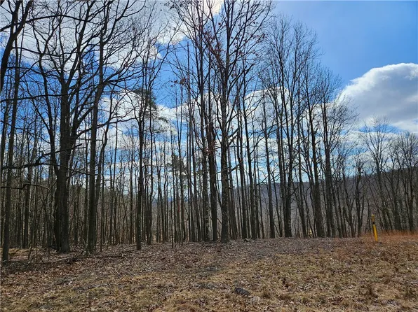 0 Fulton Run Rd, Indiana, PA 15701