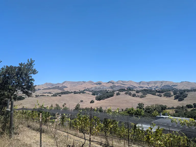 8565 Orcutt Rd — Photo 19