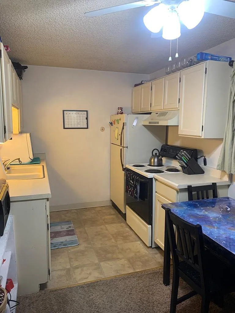 1 bed, 575 sqft, $1,150 — Photo 4