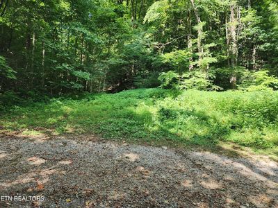 1986 Carrs Creek Rd, Townsend, TN, 37882