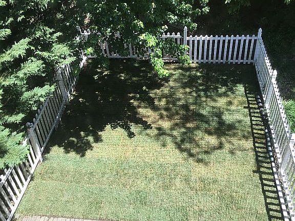 Patio and yard