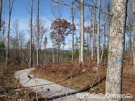 View of Paris from woodsy driveway