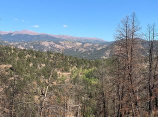 88 Chateau West Dr, Florissant, CO 80816