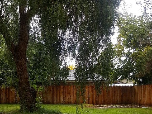 Back corner of Backyard