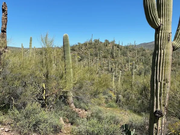 No Address, Marana, AZ 85658