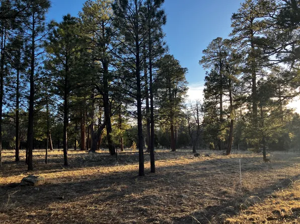 1270-1271 Sunrise Pl, Happy Jack, AZ 86024