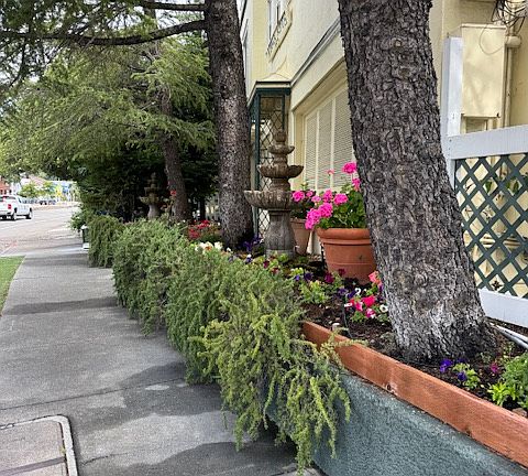 3rd image of 904 Sir Francis Drake Blvd