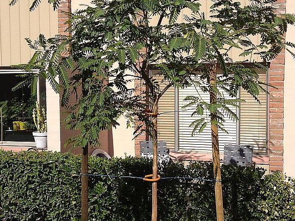 3rd image of 4701 N 68th St Unit 104