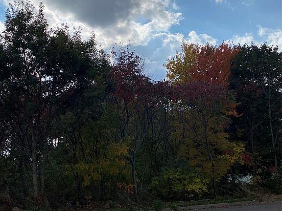 3rd image of 1129 Talan Dr