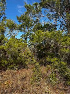 Black Oak Rd, Perry, FL, 32348
