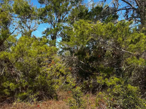 Black Oak Rd, Perry, FL 32348