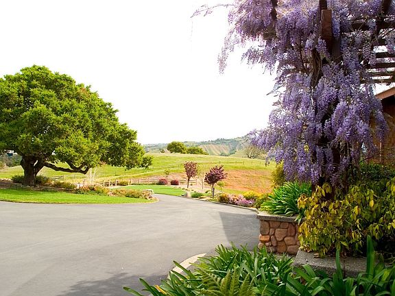 Toward East from Front Porch