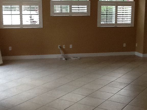 2nd image of 12623 Stanwyck Cir