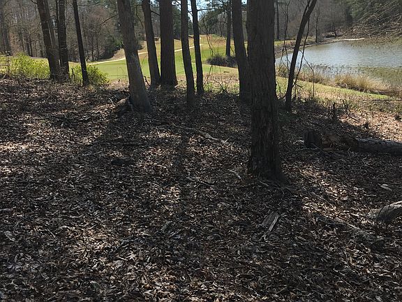 3rd image of 123 Spyglass Dr