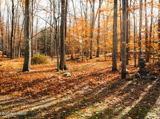 256 Owassa Dr, Pocono Lake, PA 18347