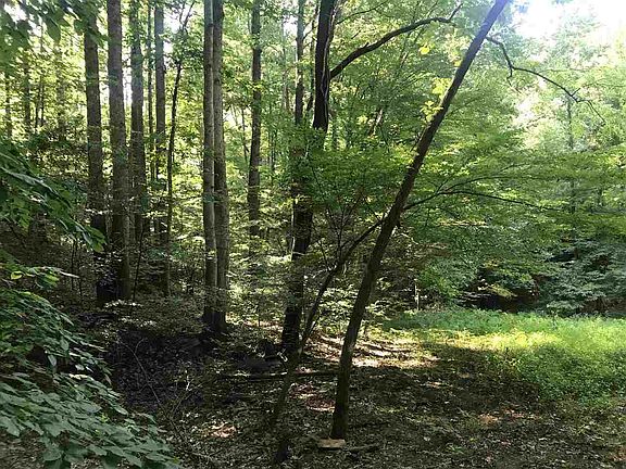2nd image of 5281 Rockfish Valley Hwy #4