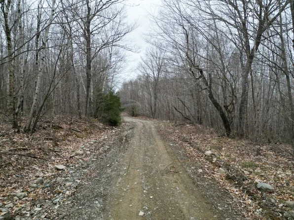 Lot 45 Scraggly Lake Road, Carroll Plt, ME 04487
