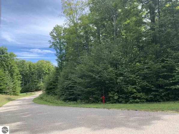 Falcons Rst Unit 157, Bellaire, MI 49615