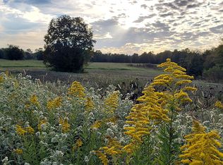 1775 Smith Crawford Rd, Appling, GA 30802