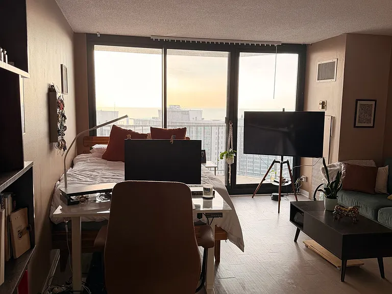 3660 N Lake Shore Dr #3309 — Photo 22