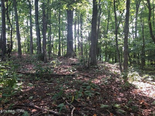 Jackson Hollow Rd, Thorn Hill, TN 37881