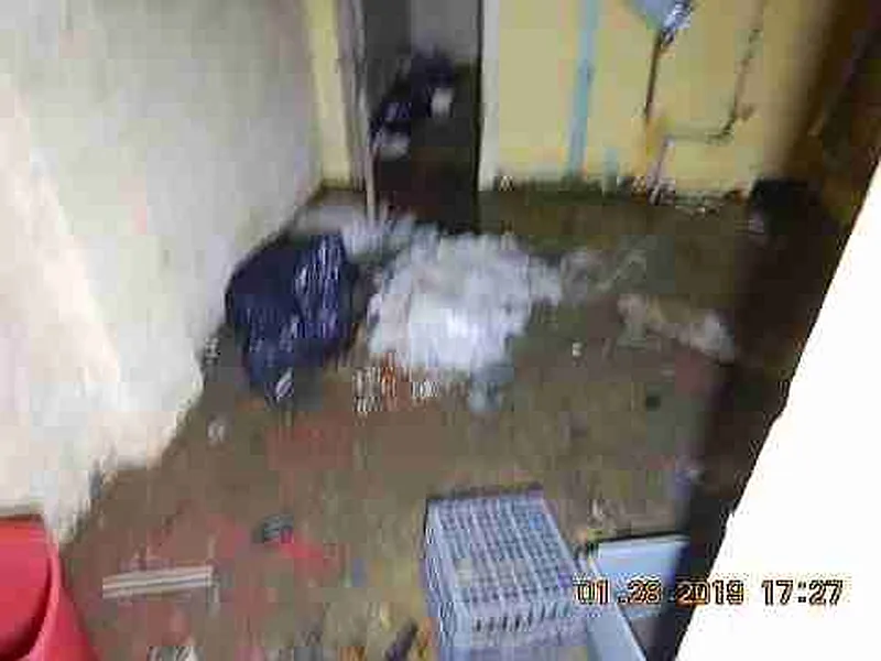 Thumbnail 12