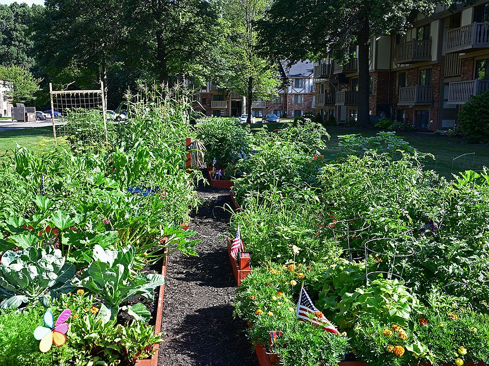 Community Gardens