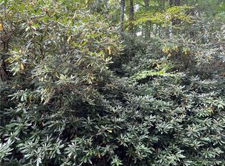 Lots 22 & 23 High Ridge Ln, Blowing Rock, NC 28605