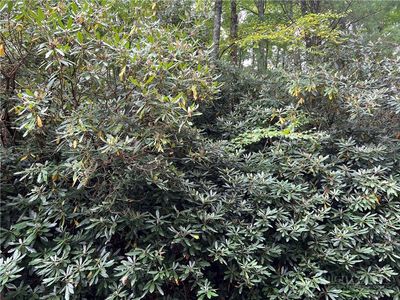 Lots 22 & 23 High Ridge Lane, Blowing Rock, NC, 28605