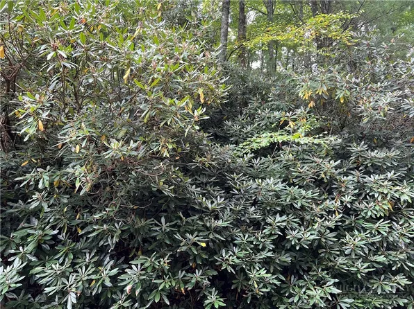 Lots 22 & 23 High Ridge Lane, Blowing Rock, NC 28605